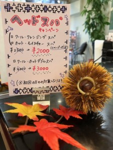 （三軒茶屋）☆10月キャンペーン企画・ヘッドスパキャンペーン☆（美容室）